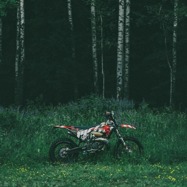 эндуро на фоне леса