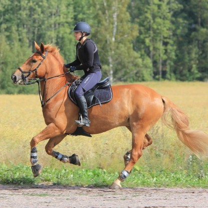 конная прогулка